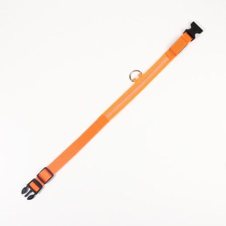 Collar with backlight size XL, Osh 52-60 x 2.5 cm, 3 glow modes Orange-6