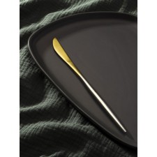 Stainless steel knife Magistro 