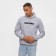 Hoody President, size XS, gray color