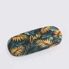 Case for the glasses 
