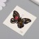 Tattoo on the body black "butterflies with flowers" set 4 pcs 6x6 cm