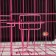 A cell with a hatch for dogs and cats, 85 x 60 x 70 cm, pink