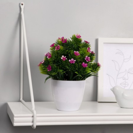 Bonsai in the pot "Fluffy Flower Bush" 8x16 cm, mix