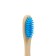 Bamboo dental brush in the box, blue