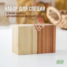 Spice set, 10 × 5 × 7 cm, 2 pcs, on magnets, bamboo