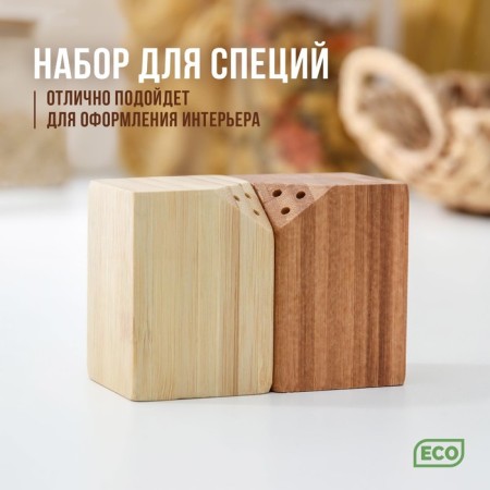 Spice set, 10 × 5 × 7 cm, 2 pcs, on magnets, bamboo