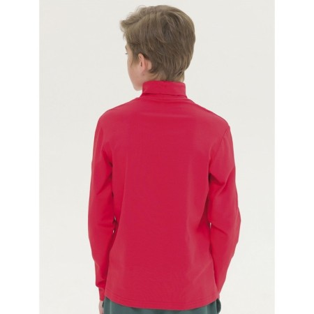 Turtleneck for the boy Pelican, height 134 cm, red color-2