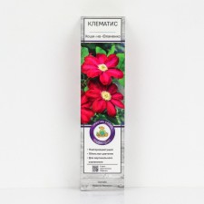 Clematis large-flowered Hoshi-I-Flamenko, 1 pc, tube, spring 2025