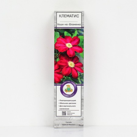 Clematis large-flowered Hoshi-I-Flamenko, 1 pc, tube, spring 2025