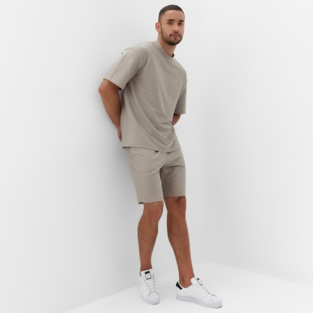 Male Minaku Regular T -shirt: Gray color, size 50