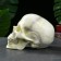 Piggy bank "Skull" Bone Bone, 16x13x22cm