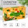 New Year's wipes Paper in the box “New Year! Winter comfort ", 100 pcs, two -layer