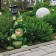 Garden Light "Frog with a lantern" 50cm