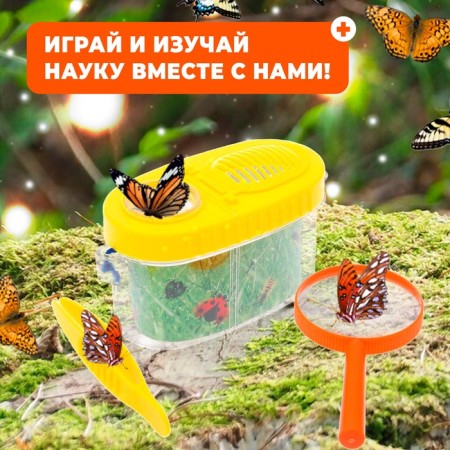 Set for research "Young Biologist", tweezers, lupa, insect jar-4