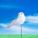 Plug "bird pigeon" 3x5cm/15cm,