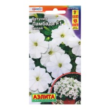 Lambada Petunia F1 is a white multi -flowered ONE (dragee in a test tube) villages. Hem Genetics C/ 1022119