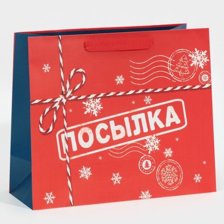 Laminated horizontal "Parcel", ML 27 x 23 x 11.5 cm, New Year-1