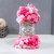 6383 white-pink