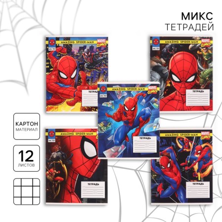 Notebook in a cage 12 sheets, 5 types of mix, cover coated cardboard, spider-man
