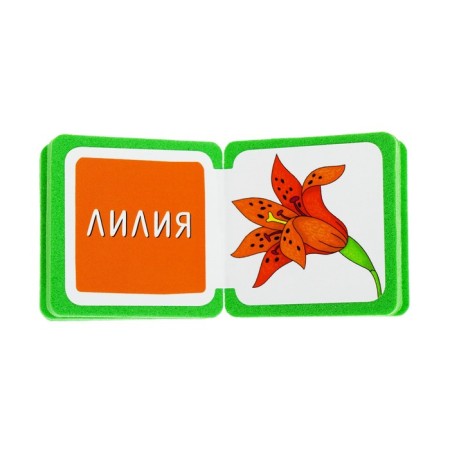 Mini-book. What is growing here? On the flowerbed. Kulikova E. N.-2