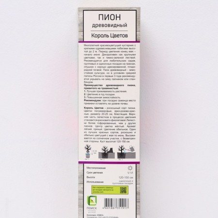 Pion tree peony (vaccinated on grassy) "King of Flowers", 1 pc, tube, spring 2025-1