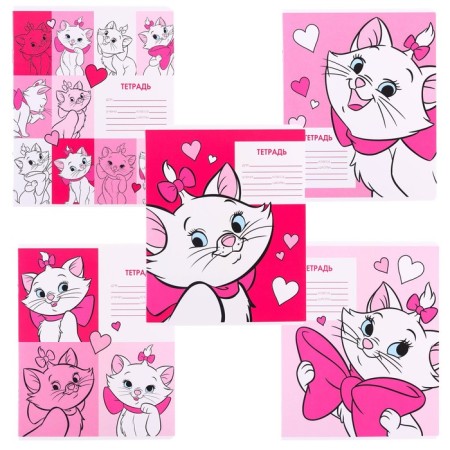 Notebook in a large cage 12 sheets, 5 types of mix, cover coated cardboard, cats aristocrats-12