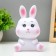 Night "Bunny" LED from batteries white-pink 9.5x14.5 cm