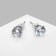 Earrings with rhinestones "Pusets" radiance, circle, d = 0.5, white color in silver