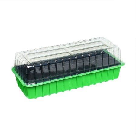Mini-Pirate for seedlings, 40 × 16 × 13 cm, 2 inserts, 8 cells, green, Greengo-1