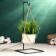 Pot on the stand suspension, 28x12x12cm