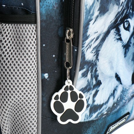 School backpack Erich Krause Ergoline 15l, 39 x 28 x 14 cm, ergonomic back, Timber Wolf 60100-9