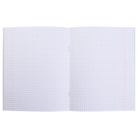 Notebook 48 sheets, in a cage, Metallic "Gold", Bumvinyl cover, OFSET block-2