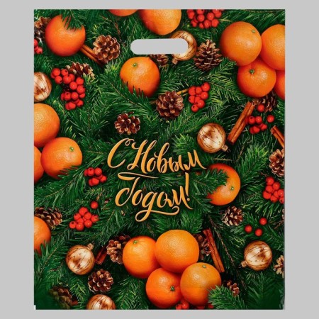 Package "Ripe Winter", polyethylene with a cut pen, 40x47 cm, 45 μm set of 5 pieces
