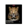 Notebook of 48 sheets in the Erichkrause Strong and Brave cage, cover coated cardboard, matte lamination, mix