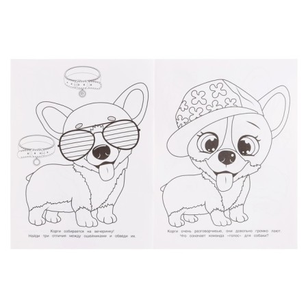 Coloring "Funny Corgi", A4-4