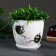 Flower Pot "Birds" 2.5 l, white