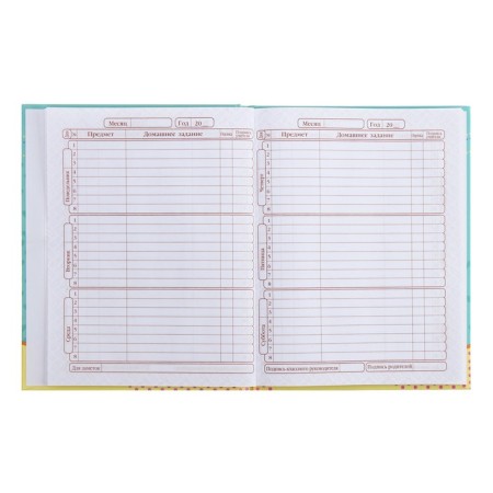 Diary for grades 1-4 Metoyou, hard cover, glossy lamination, 48 sheets-7
