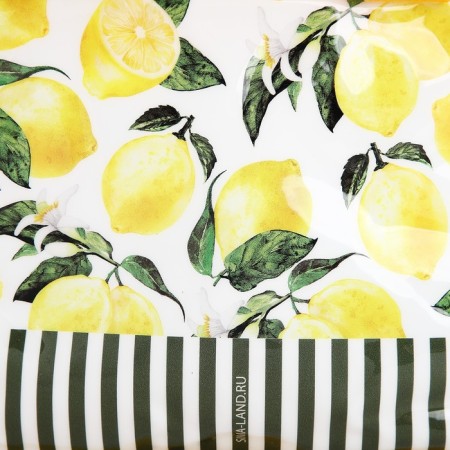 Bag for swimsuit "Lemon", 20x15x4 cm-4