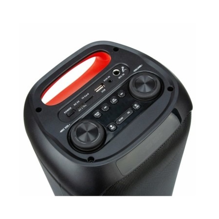 Column 05 "(30-27 Dance Box 350) Dynamics 2pcs/5" Eltronic with TWS-2