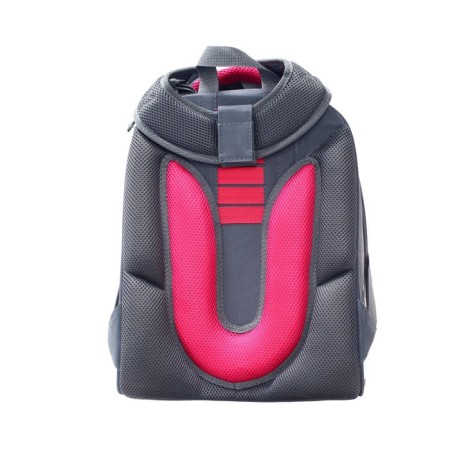 School backpack 38 x 30 x 16 cm, ergonomic back, stavia "flamingo" multicolor/gray-5