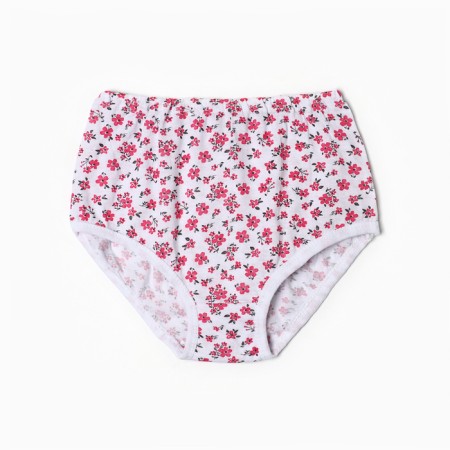 Cowards female slips, color mix, size 50-4
