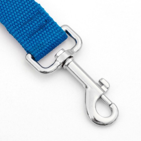 Leash 5 m x 2.5 cm, blue-1