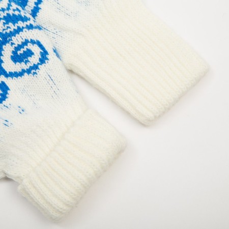 Female mittens, blue color, size 18-2