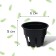 Pot for seedlings, 80 ml, d = 6 cm, h = 5 cm, black, Greengo