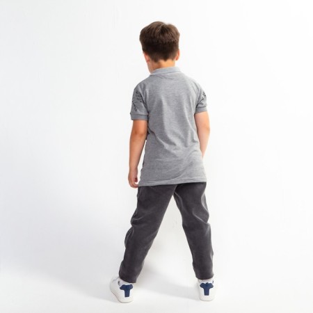 Polo T -shirt for a boy, Gray color/Print mix, height 128 cm-3