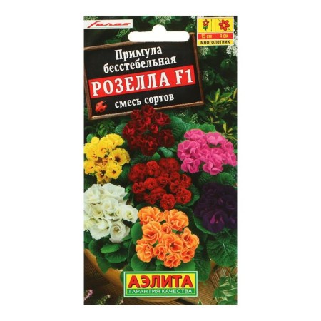 Семена цветов Примула "Розелла", смесь окрасок, F1, 7 шт-2