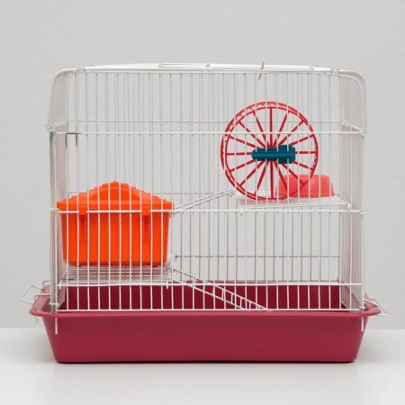 The cage for the rodents "Pigzon" No. 3, with the 2nd floors, equipped, 33 x 24 x 28 cm, ruby-2