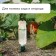 Auto -polyove for indoor plants, under a bottle, set 2 pcs., Greengo