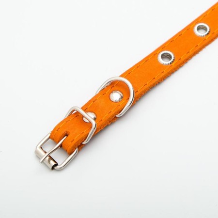 Single-layer leather collar with corrugated eyelets, dimensionless, 40 x 1.5 cm, Osh 27-35 cm, red 70-3