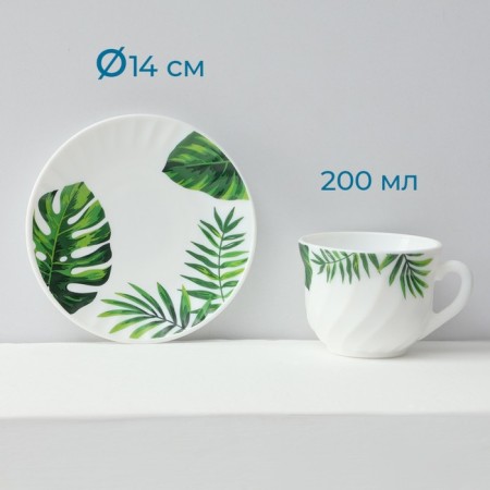 Service table "Fern sheet", 37 items, glass ceramics-3